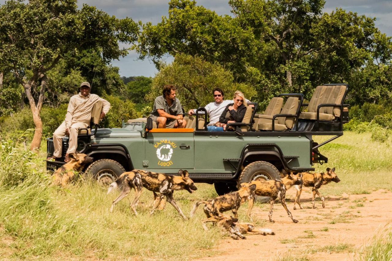 Kambaku Safari Lodge Тімбаваті-Ґейм-Резерв Екстер'єр фото