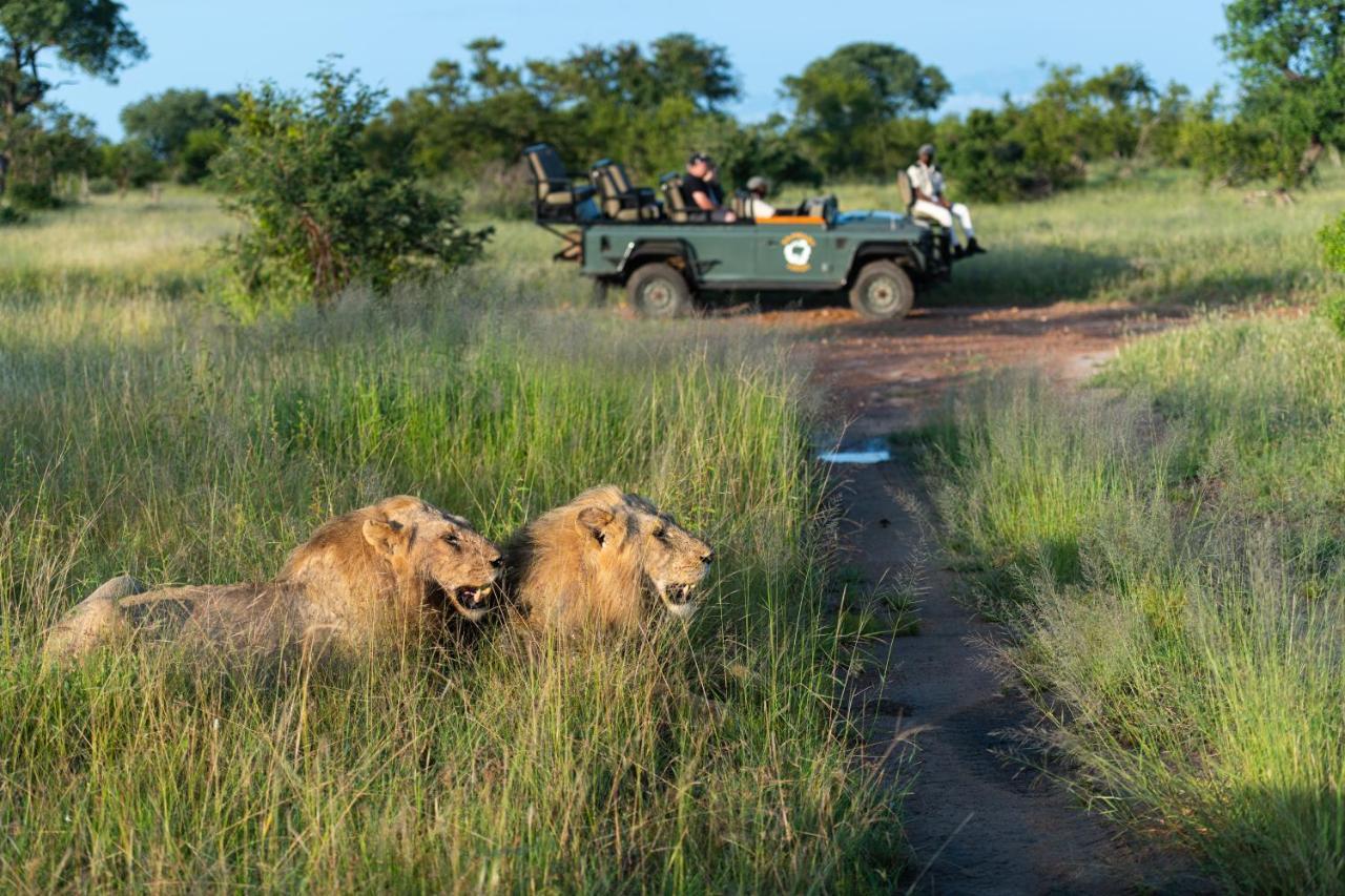 Kambaku Safari Lodge Тімбаваті-Ґейм-Резерв Екстер'єр фото