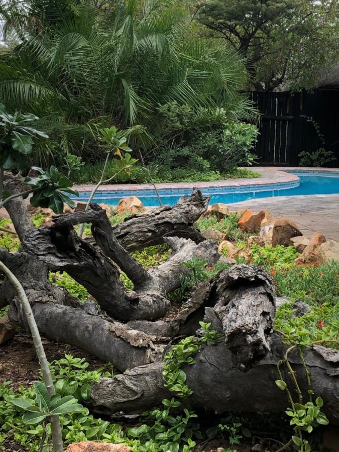 Kambaku Safari Lodge Тімбаваті-Ґейм-Резерв Екстер'єр фото