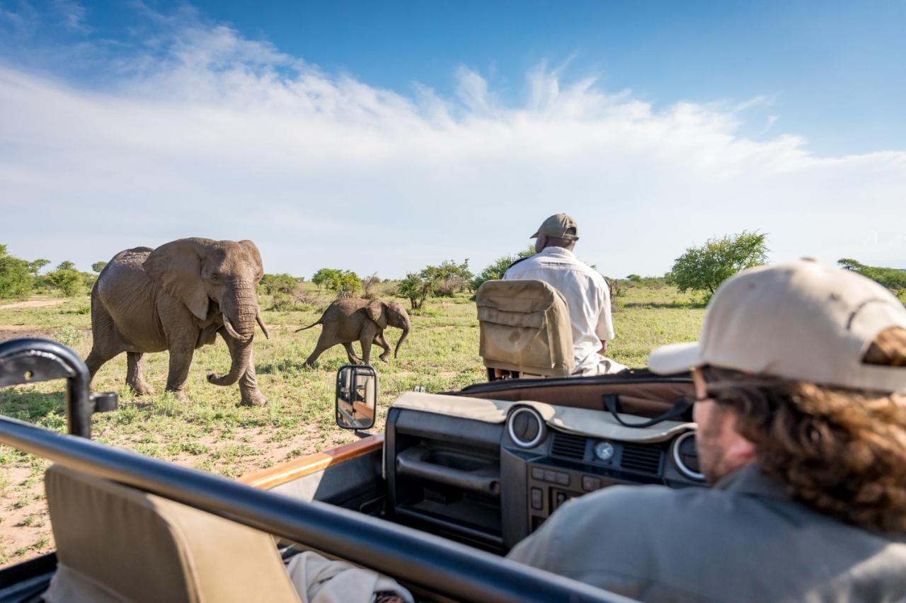 Kambaku Safari Lodge Тімбаваті-Ґейм-Резерв Екстер'єр фото