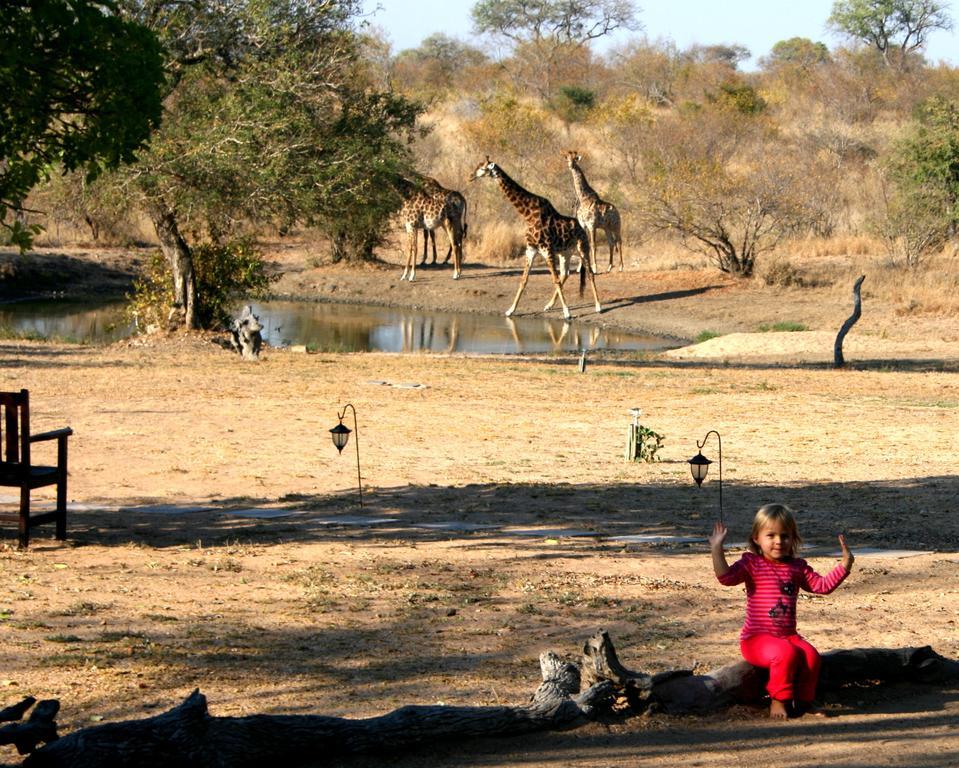 Kambaku Safari Lodge Тімбаваті-Ґейм-Резерв Екстер'єр фото